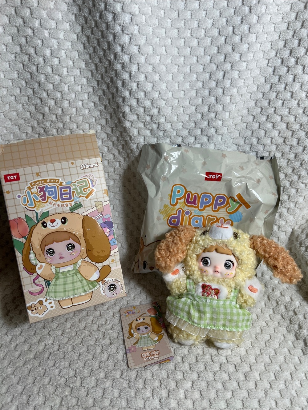 Nommi Puppy Diary Plush Doll in Green Gingham Dress